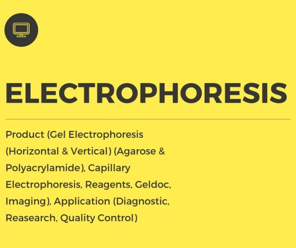 Electrophoresis Market